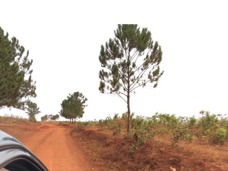 Une fin de semaine dans le « Cameroun profond ».... 