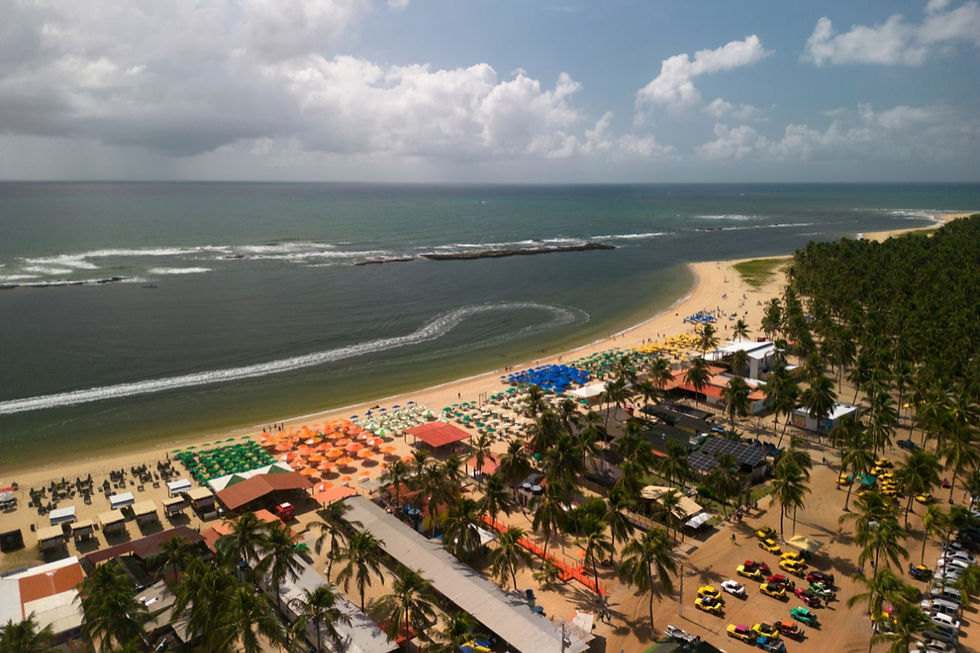 Praia do Gunga - como chegar, onde ficar, o que fazer para aproveitar este destino em Alagoas.