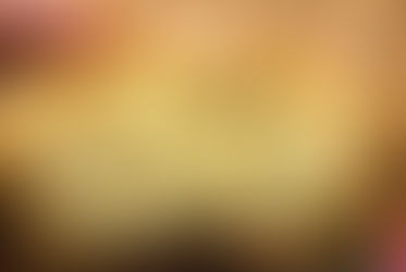 Bolo Salgado de Queijo