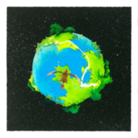 FRAGILE GREEN, Silkscreen Print