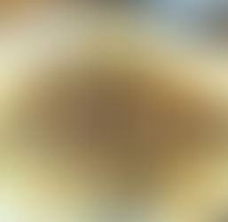 My Mom’s Beef Burgundy - Perfect on a Cold Day - Our Recipe of the Day- Oct 8th