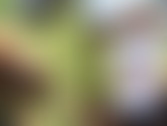 Chef Spotlight - Chef Dan Fox - Heritage Tavern - Madison, Wisconsin