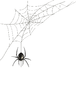 spider.gif