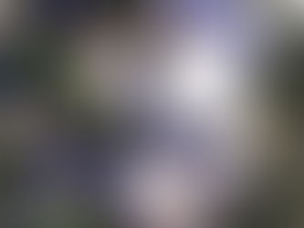 Soluciones Integrales en tejados de pizarra: testimonios reales de clientes satisfechos