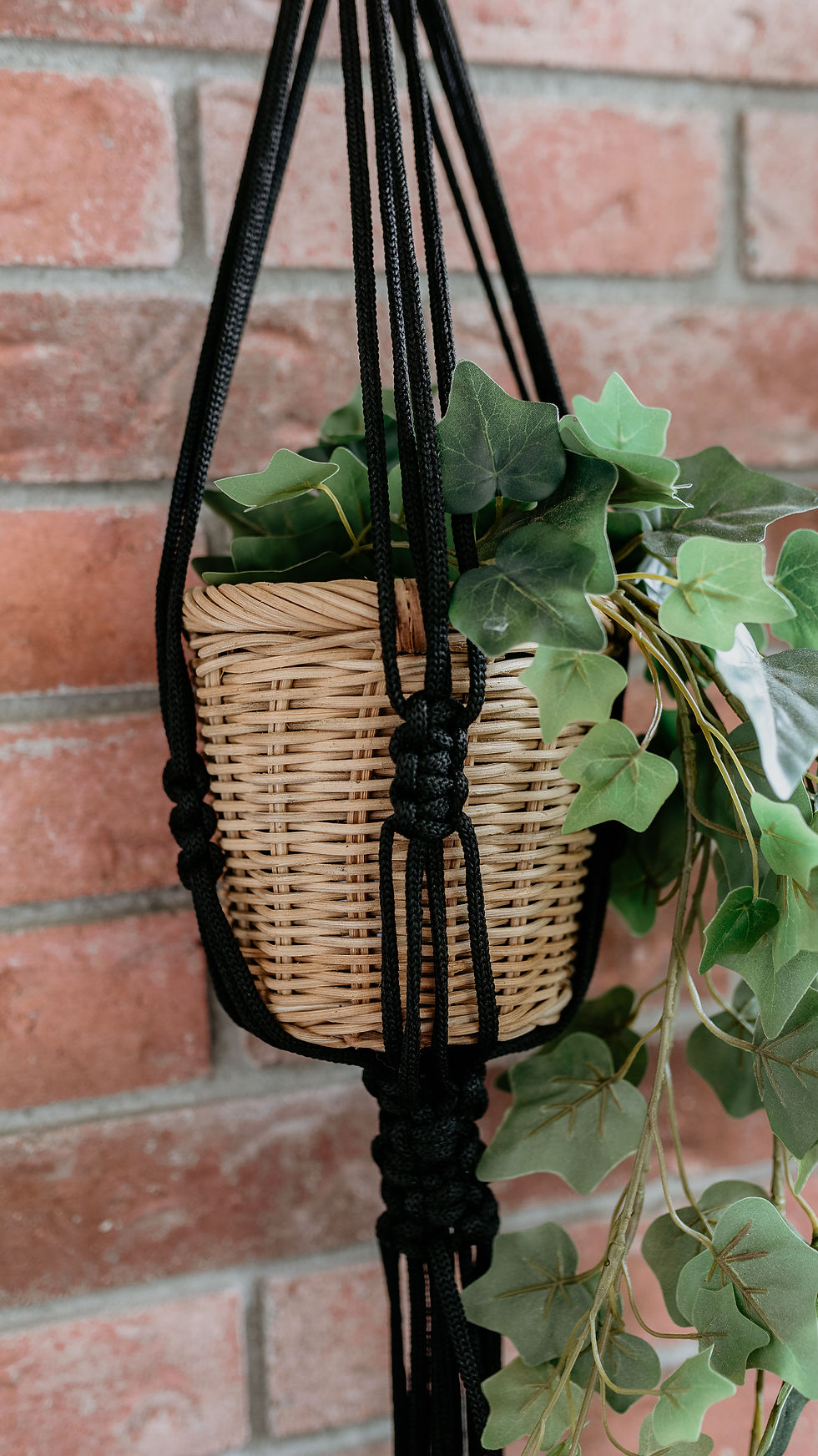 Thumbnail: "Amaya" Plant Hanger