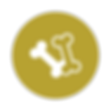force-free-behavior-modification
