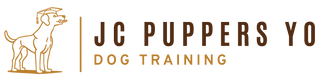 positive-reinforcement-dog-training