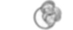 test visuel site avec illustration MC_04.jpg