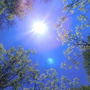 Manifestation for the New Earth