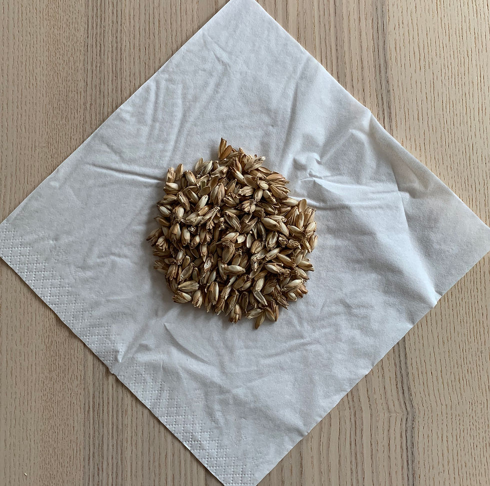 Miniature : Coussin 45 x 23 cm en balles d'épeautre