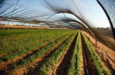 Thumbnail: 50% SHADE CLOTH