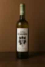 Blanco caven Botella