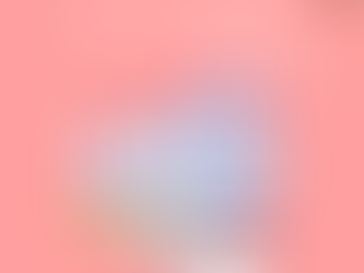 What is a general journal❓