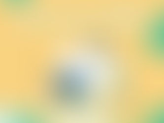 What is Sales Force (CRM) system?