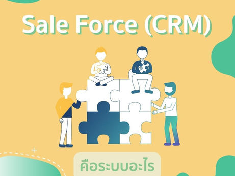 What is Sales Force (CRM) system?