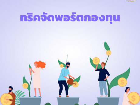 您應該了解的組織基金投資組合的技巧