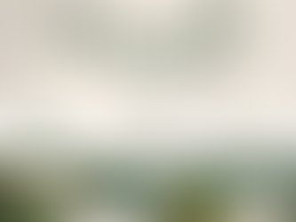 LOGO “Wanalai วนาลัย“