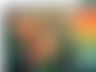 What are Color Schemes?