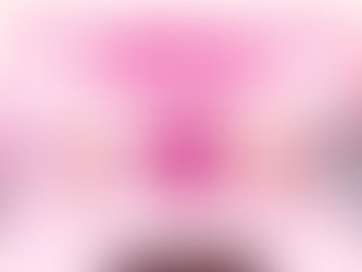 มาสคอต "SKR OSAKA JAPAN" 🚗✨