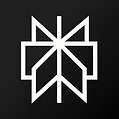 Perplexity AI search tool for research and information gathering