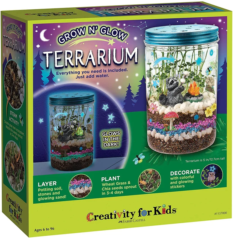 A green box containing a kit for kids to make their own terrarium