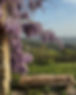 IMG_0075.jpeg