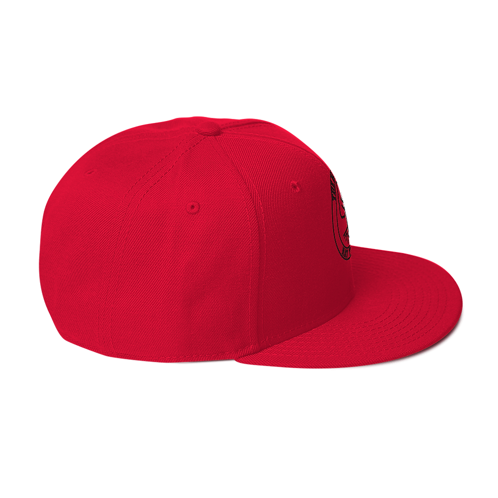 Thumbnail: Black Embroidered TBNT Snapback Hat