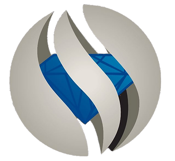 Paragon black logo only_edited.png