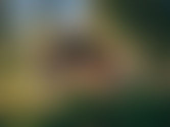 [Music] An interview with: Orions Belte