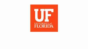 University of Florida Students: Save $28,858.40 in Tuition with DSST Exams