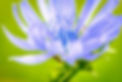 210809-foto-laag-soeren-4499A.jpg