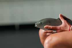 Rehearsal_Photos_Seagull_Theatre_Lowestoft-102