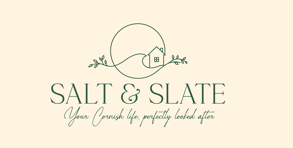 Salt _ SlateV3 (2).png
