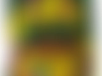 Exploring the Fusion: Packwoods x Runtz Disposable Vape Pen