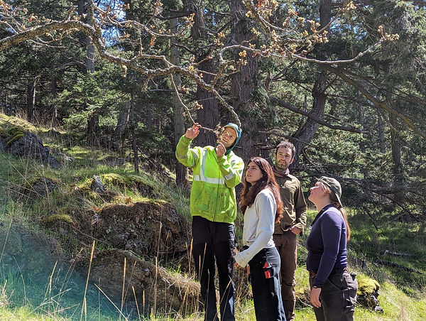 Wilmerding_Yuki_191101_237278_teaching moment.jpg