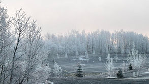 Community Photo Contest!