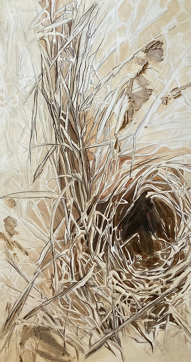 Susan Smith_ animal architecture_.jpg