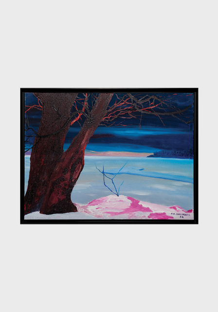 Baltezers Lake at Night
