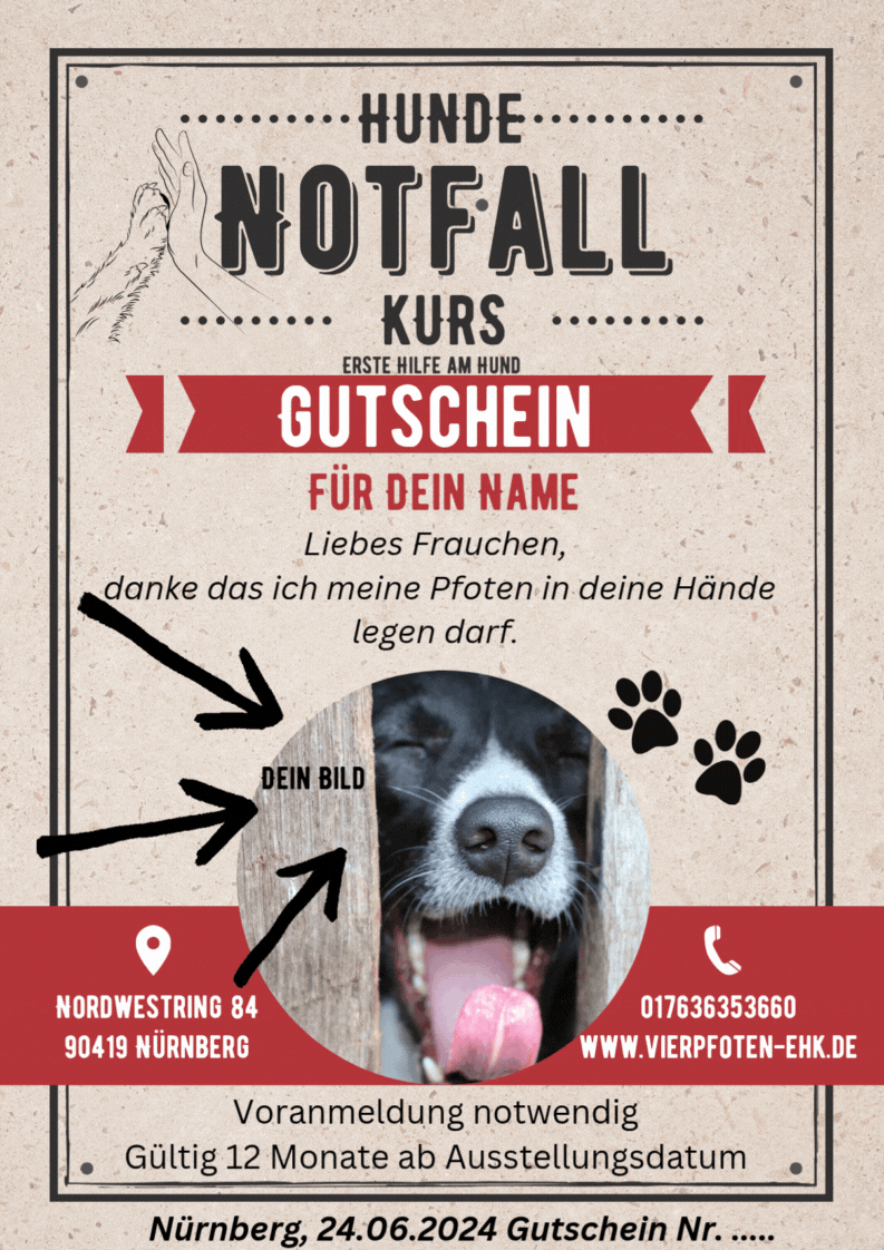 Gutschein Shop oder Erste Hilfe Geburtstag