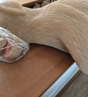 Vierpfoten Erste Hilfe - Reanimation Hund2.jpeg