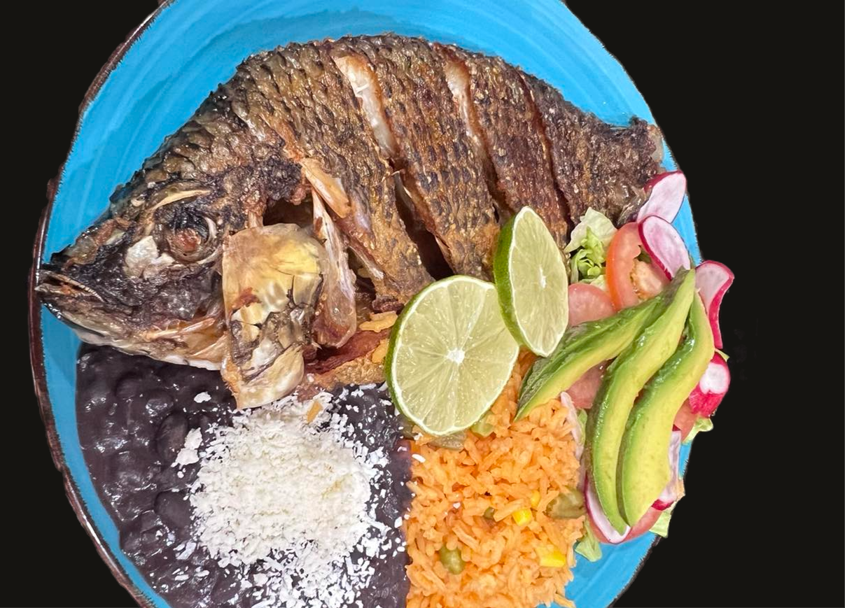 Arranged Food and Objects