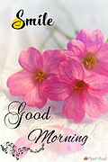 good%20Morning%20flowers_edited.jpg