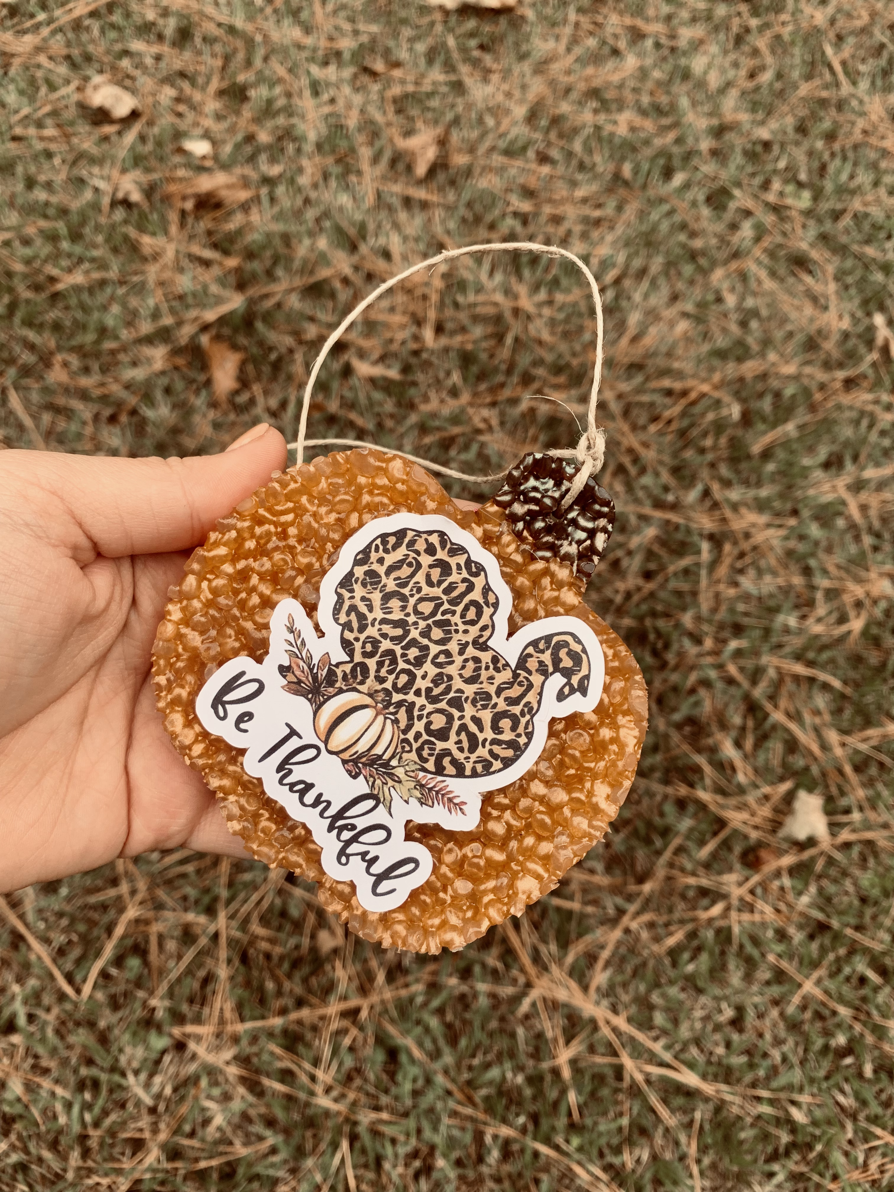 Thankful Turkey Pumpkin