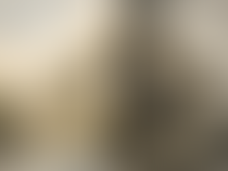 When Governance Forgets Its Purpose