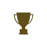 Trophée de bronze de la FPP pour Piscines Es & Spas, votre constructeur de piscine et pisciniste en Alsace, à Colmar et Strasbourg