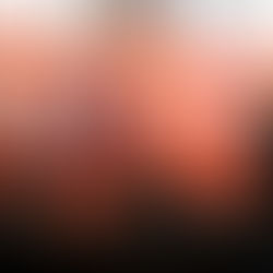 The Future of Sustainable Packaging & Lessons for Corporate-Startup Collaboration