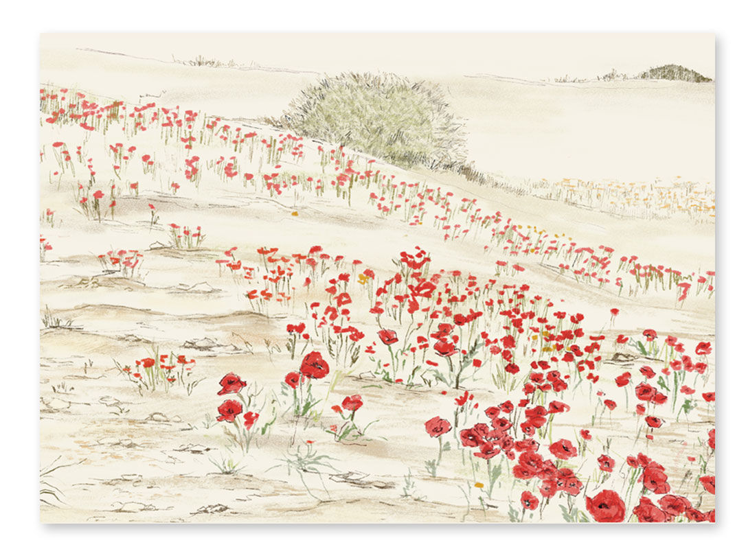 פרינט -מרבד פרגים  A3