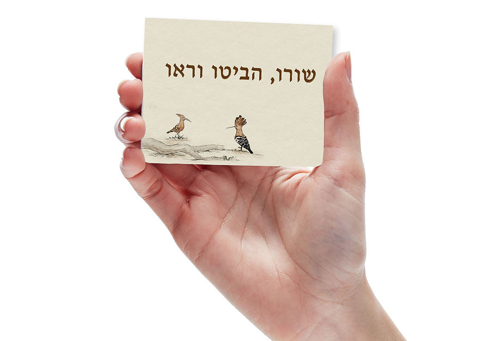 תמונה ממוזערת: מגנט - שורו הביטו וראו