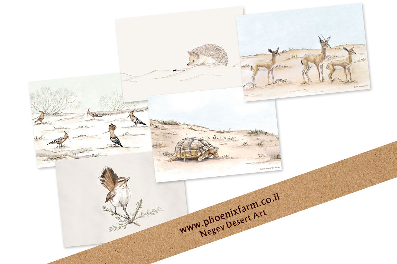 מארז 5 גלויות - בעלי חיים במדבר