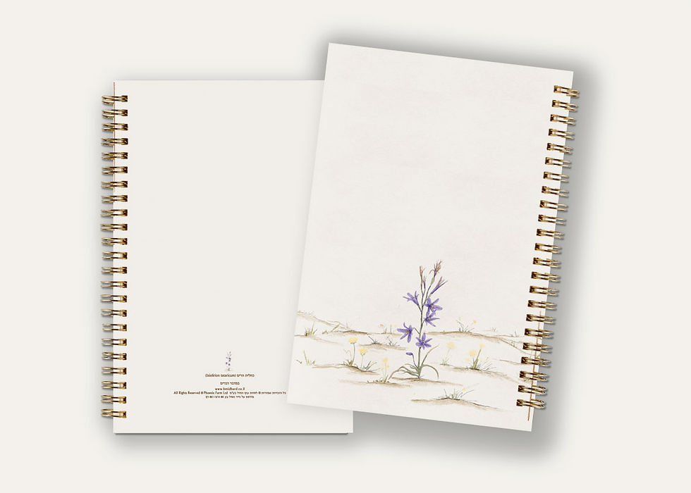 Thumbnail: מחברת ספירלה -כחלית הרים